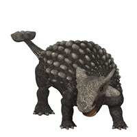Ankylosaurus was an armored dinosaur from the Creataceous Period Fine Art Print