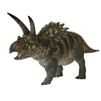 Coahuilaceratops Dinosaur