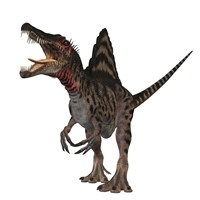 Spinosaurus dinosaur by Corey Ford - various sizes