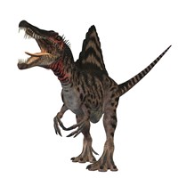 Spinosaurus dinosaur Fine Art Print