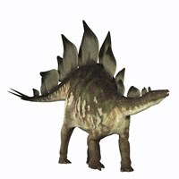 Stegosaurus dinosaur Fine Art Print