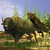 A Saber-Tooth cat pounces onto a frightened Buffalo Fine Art Print