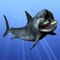 A Cenozoic Era Megalodon devours two swimming tuna Fine Art Print