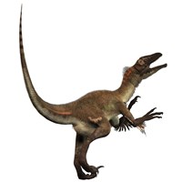 Artist's concept of a Utahraptor by Corey Ford - various sizes