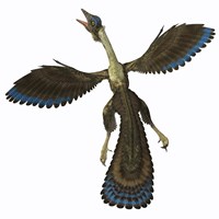 Archaeopteryx, known as one of the earliest prehistoric birds Framed Print