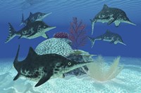 A group of large Ichthyosaurus marine reptiles swimming in prehistoric waters Fine Art Print