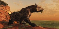 A prehistoric Smilodon Cat is on the prowl for his next prey Fine Art Print