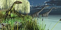 Dilong dinosaurs watch two Brachiosaurus wade across a lake Fine Art Print