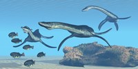 Plesiosaurus dinosaurs hunt a school of Dapedius fish Fine Art Print