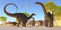 Herd of Apatosaurus dinosaurs wander through a prehistoric forest Fine Art Print