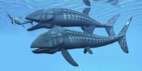 Leedsichthys fish about to swallow an Ichthyosaurus marine reptile by Corey Ford - various sizes