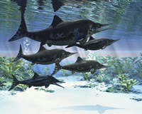 A group of Ichthyosaurs swimming in prehistoric waters Fine Art Print