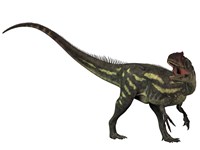 Allosaurus, a prehistoric era dinosaur Fine Art Print