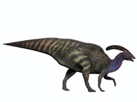 Parasaurolophus, a herbivorous dinosaur from the Cretaceous period Fine Art Print