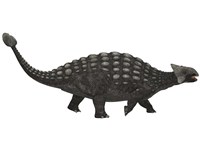 Ankylosaurus, an armored dinosaur from the Cretaceous Period Fine Art Print