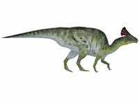 Olorotitan, a duckbilled dinosaur from the Cretaceous Period Fine Art Print