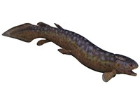 Rhizodus, an extinct predatory lobe-finned fish by Corey Ford - various sizes, FulcrumGallery.com brand
