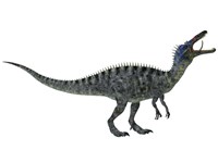 Suchomimus, a large dinosaur from the Cretaceous Period Fine Art Print