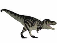 Tyranosaurus Rex, a large carnivore of the Cretaceous Period Fine Art Print