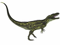 Torvosaurus, a large theropod dinosaur from the Jurassic Period Fine Art Print