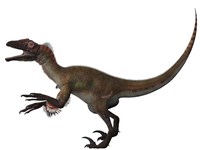 Utahraptor, a carnivorous dinosaur from the Cretaceous Period Fine Art Print