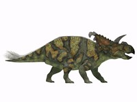 Albertaceratops dinosaur from the Upper Cretaceous Era by Corey Ford - various sizes - $47.99