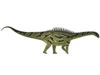 Agustinia ligabuei, a sauropod from the Early Cretaceous Period by Corey Ford - various sizes, FulcrumGallery.com brand