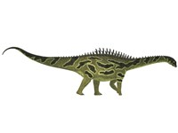 Agustinia ligabuei, a sauropod from the Early Cretaceous Period Fine Art Print