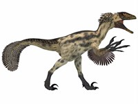 Deinonychus, a carnivorous dinosaur from the early Cretaceous Period Fine Art Print