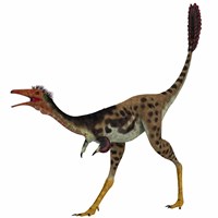 Mononykus, a theropod dinosaur from the late Cretaceous Fine Art Print