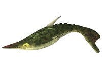 Pteraspis is an extinct genus of jawless fish Fine Art Print