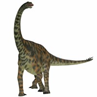 Spinophorosaurus is a sauropod dinosaur from the Jurassic Period Fine Art Print