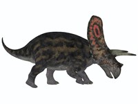 Torosaurus, a herbivorous dinosaur from the Late Cretaceous Fine Art Print