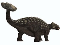 Ankylosaurus, a heavily armored dinosaur from the Cretaceous Period Fine Art Print