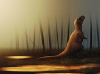 Tyrannosaurus rex sunbathing after the rain Fine Art Print