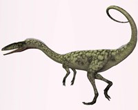 Coelophysis bauri dinosaur from the Triassic Period Fine Art Print