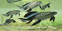 Scaumenacia lobe-finned fish from the Devonian period by Corey Ford - various sizes