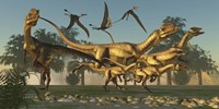 A pack of Dilophosaurus dinosaurs hunting for prey Fine Art Print