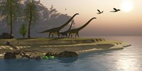 Mamenchisaurus dinosaurs walk to a lake for a morning drink Fine Art Print