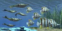 Prehistoric Pteraspis jawless fish swimming with a group of Chelmon Butterflyfish Fine Art Print