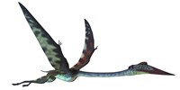 Quetzalcoatlus predatory pterosaur Framed Print