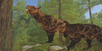 Two Saber-Toothed Cats search for prey in a pine forest Fine Art Print