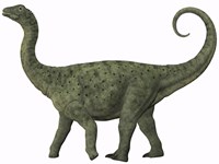 A juvenile Saltasaurus sauropod dinosaur of the Cretaceous Period Fine Art Print