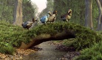 A group of Dodo birds crossing a natural bridge over a stream Fine Art Print