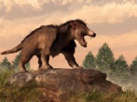 An Arctocyon on a rock Fine Art Print