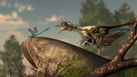 An Archaeopteryx stalks a dragonfly on a rock Fine Art Print