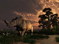 A Megacerops grazing a prehistoric landscape Fine Art Print