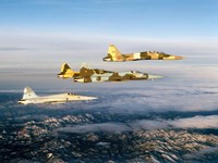 Four F-5 Tiger II's fly above Southern California Fine Art Print