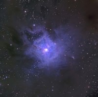 The Iris Nebula Fine Art Print