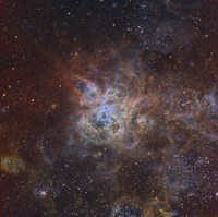 The Tarantula Nebula Fine Art Print